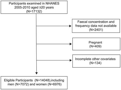 Gender differences in the association between dietary protein intake and constipation: findings from NHANES